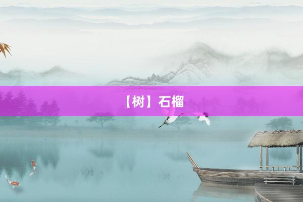 【树】石榴