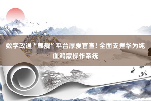 数字政通“麒舰”平台厚爱官宣! 全面支捏华为纯血鸿蒙操作系统
