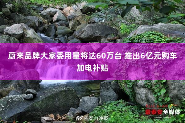 蔚来品牌大家委用量将达60万台 推出6亿元购车加电补贴