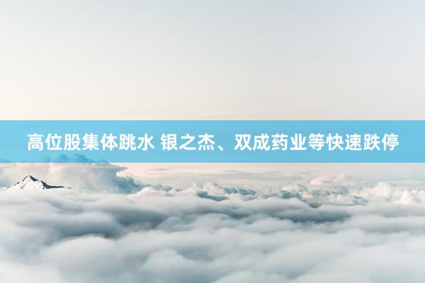   高位股集体跳水 银之杰、双成药业等快速跌停