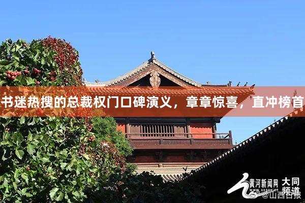   书迷热搜的总裁权门口碑演义，章章惊喜，直冲榜首