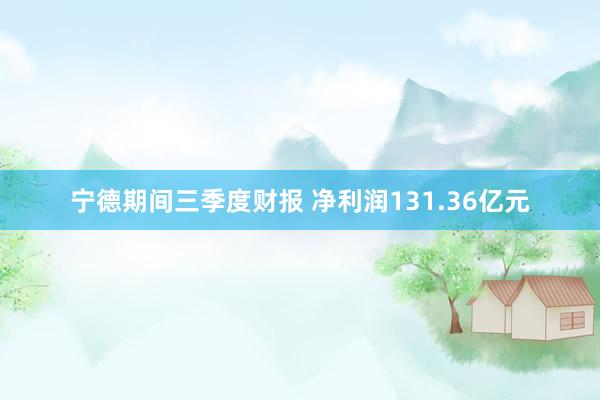 宁德期间三季度财报 净利润131.36亿元