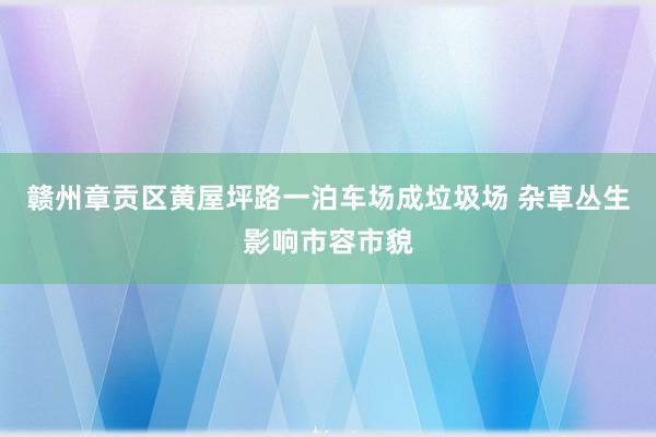 赣州章贡区黄屋坪路一泊车场成垃圾场 杂草丛生影响市容市貌