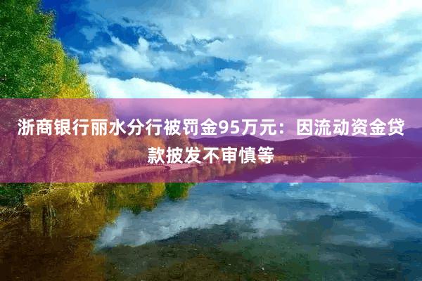 浙商银行丽水分行被罚金95万元：因流动资金贷款披发不审慎等