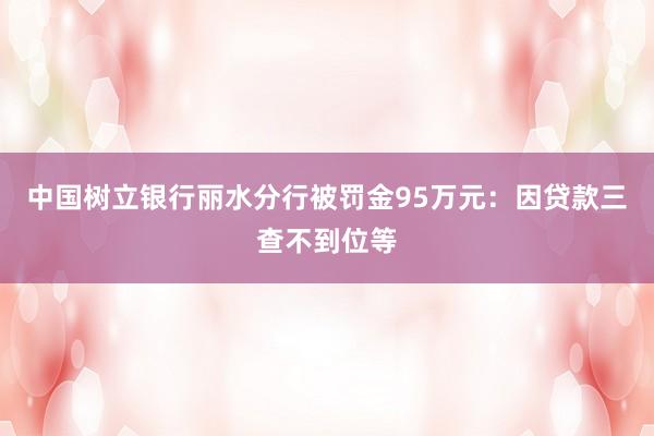 中国树立银行丽水分行被罚金95万元：因贷款三查不到位等