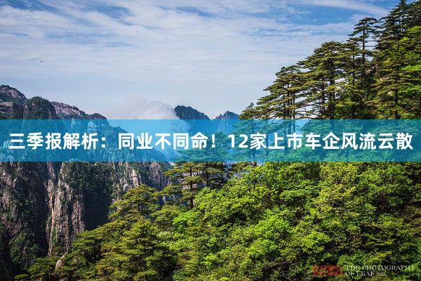 三季报解析：同业不同命！12家上市车企风流云散
