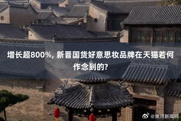   增长超800%, 新晋国货好意思妆品牌在天猫若何作念到的?