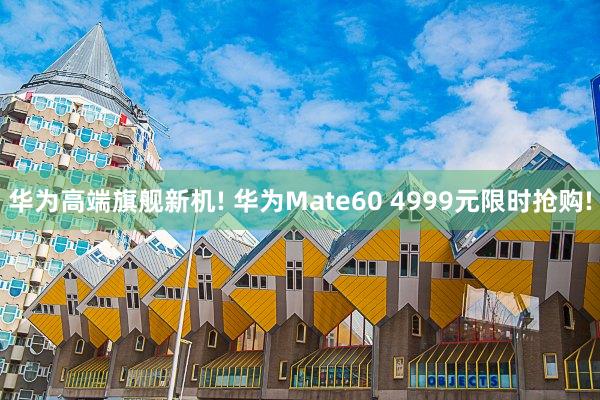 华为高端旗舰新机! 华为Mate60 4999元限时抢购!